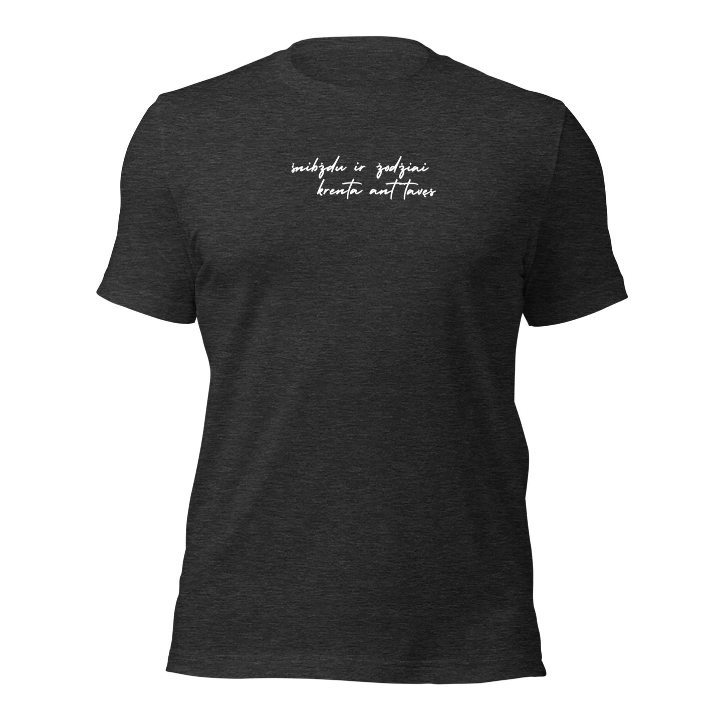 Song Lyrics Unisex t-shirt